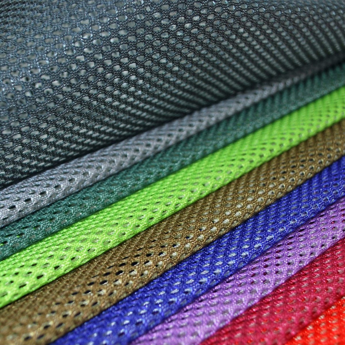 Papillon ECOLINE E NET